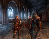 The Witcher (Zaklna)